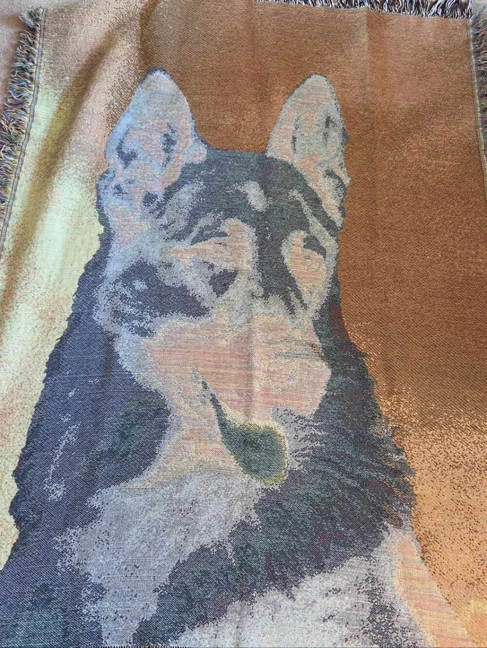 None german shepherd